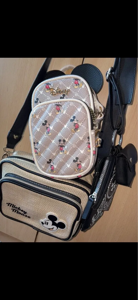 Disney Bag Lot