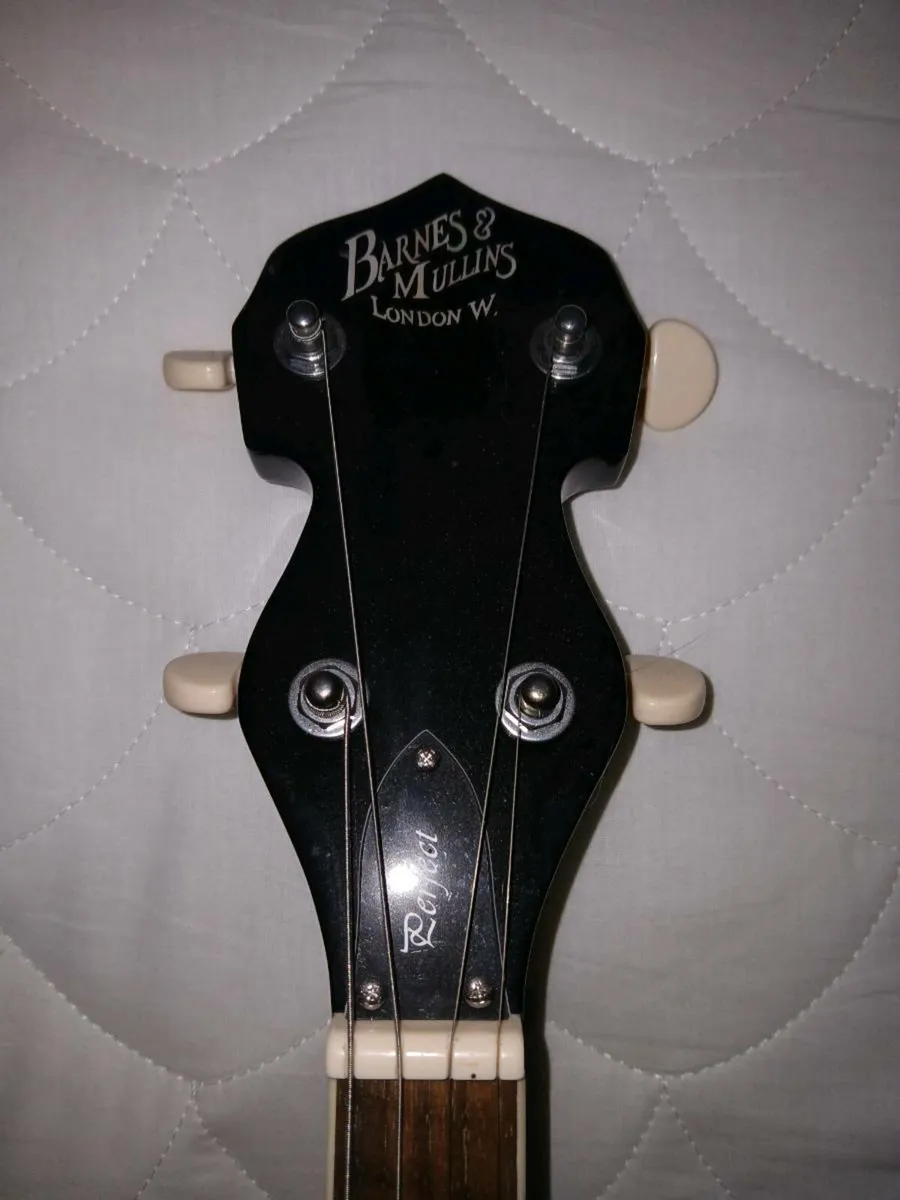 Irish / Tenor Banjo - Image 2