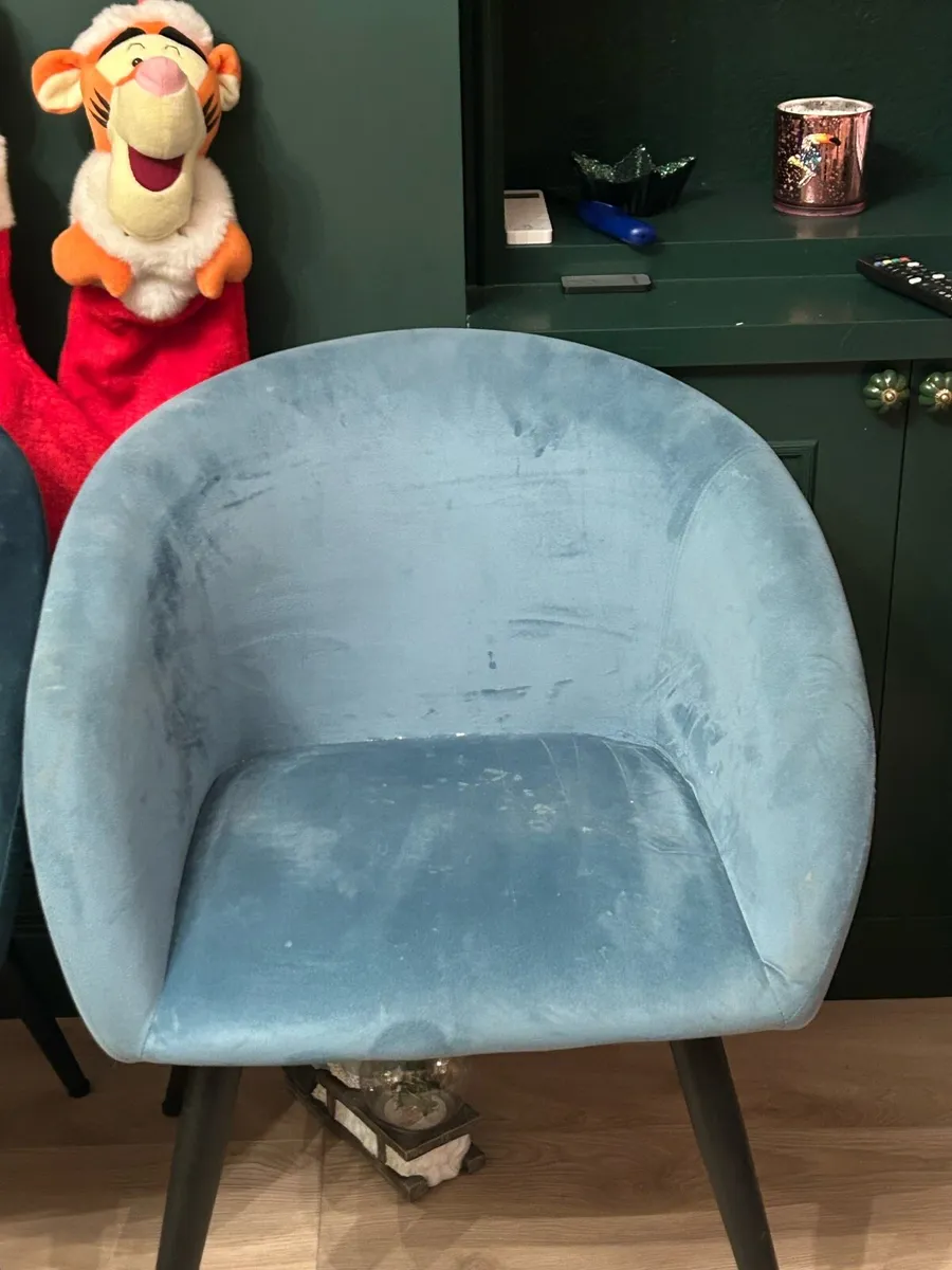 Dining Chairs - Image 1