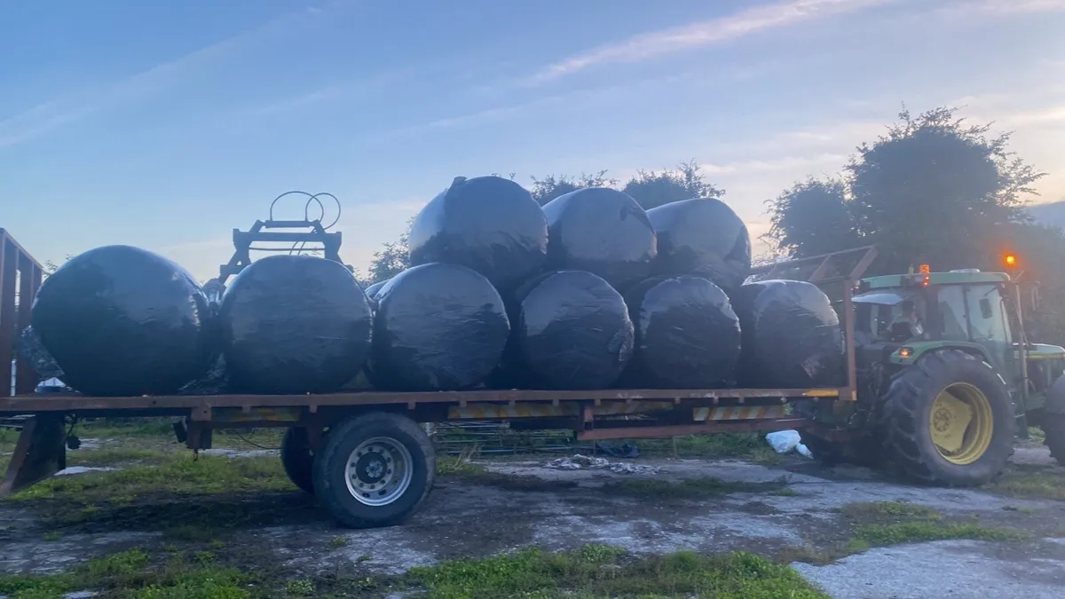 2nd cut Sliage - Image 1