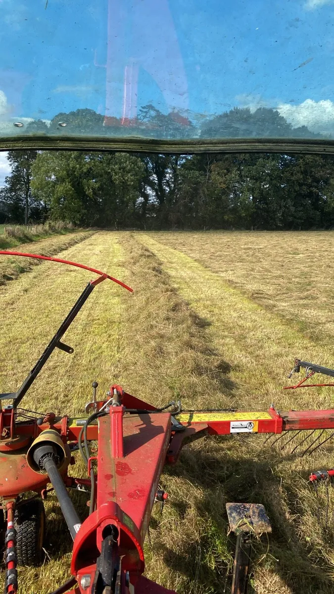 2nd cut Sliage - Image 2