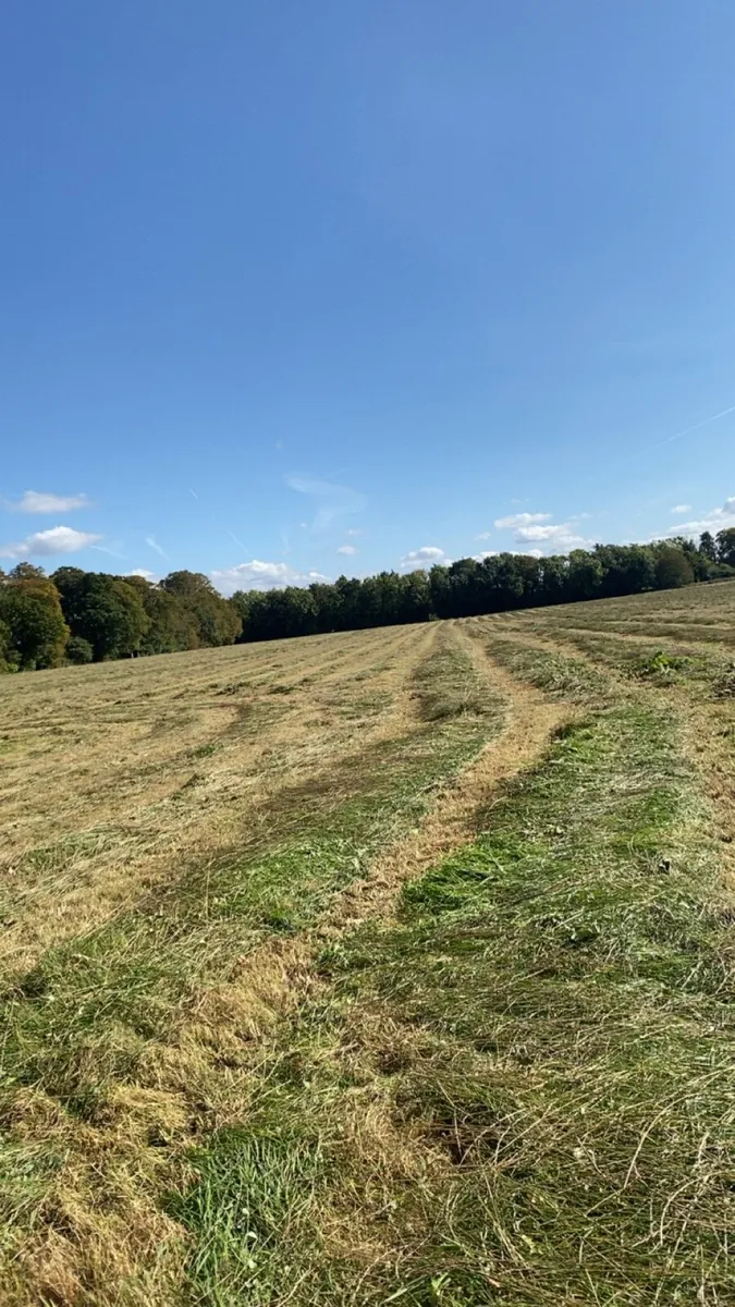 2nd cut Sliage - Image 3