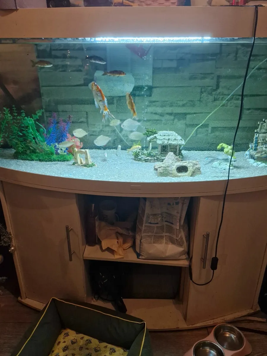 450 litre jewel vision aquarium - Image 1
