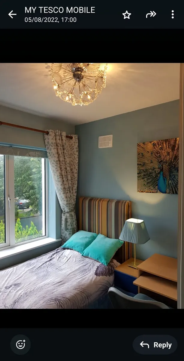 Designer Headboard for a single bed - Image 3