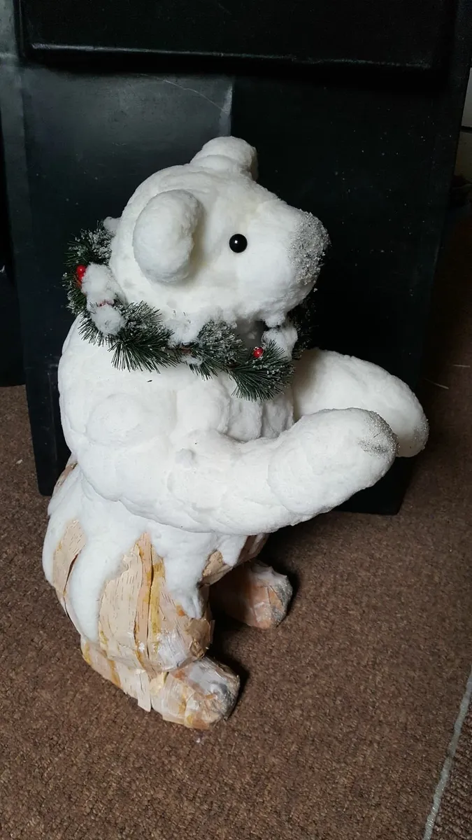 Beautiful polar bears - Image 4