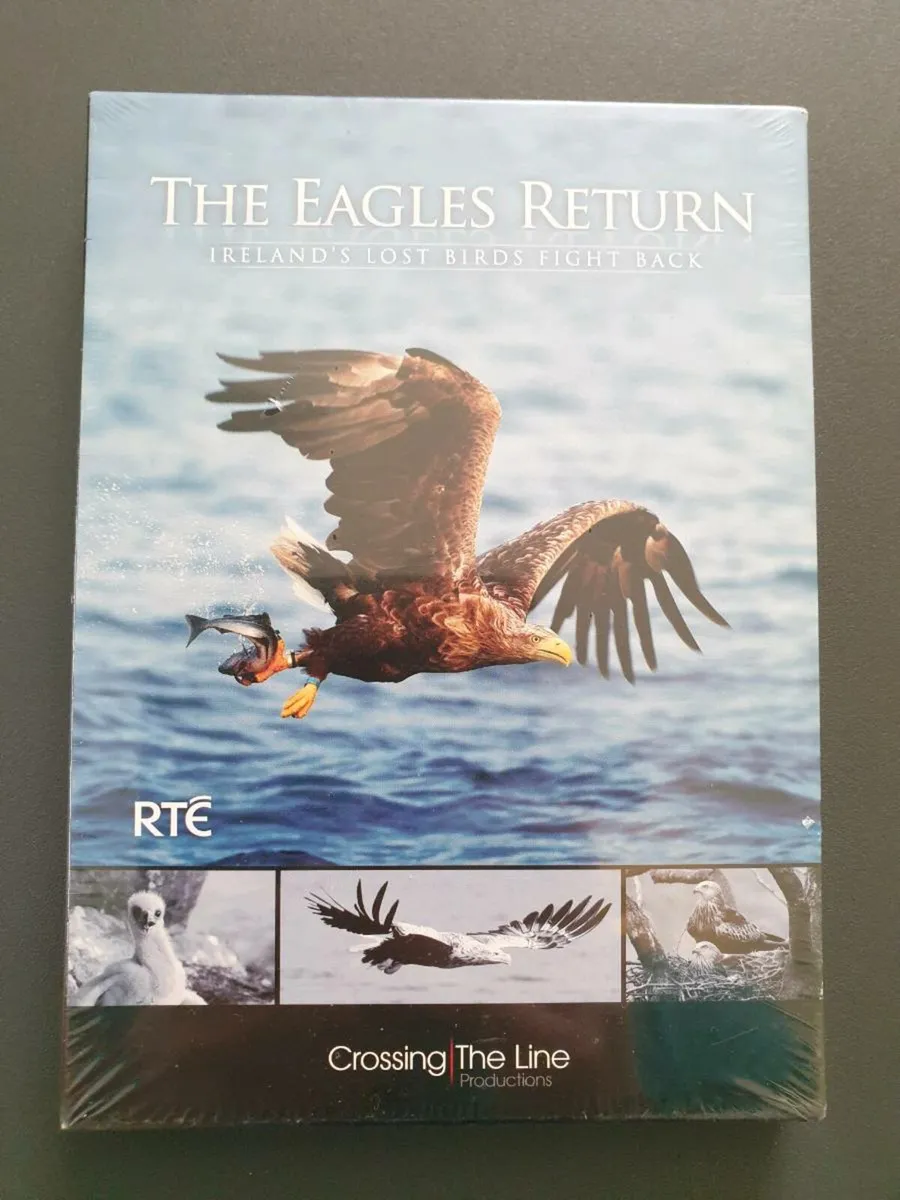 The Eagles Return 2010 DVD Irelands Lost Birds - Image 1