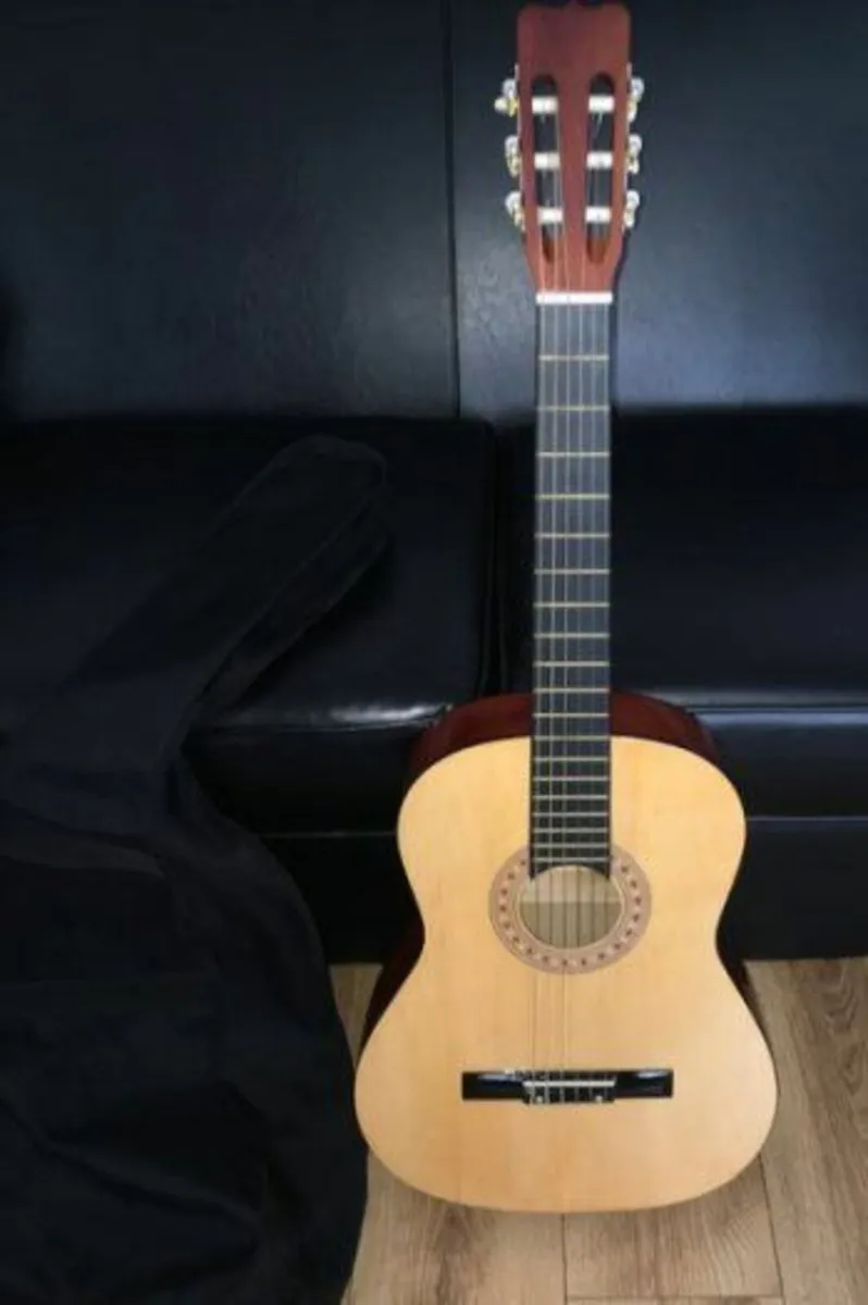 Guitar and Books - Image 3