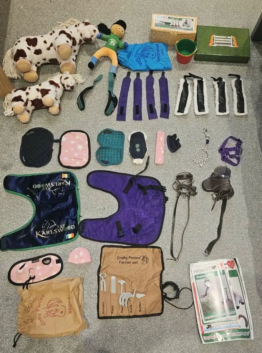 Crafty pony sets - Image 2