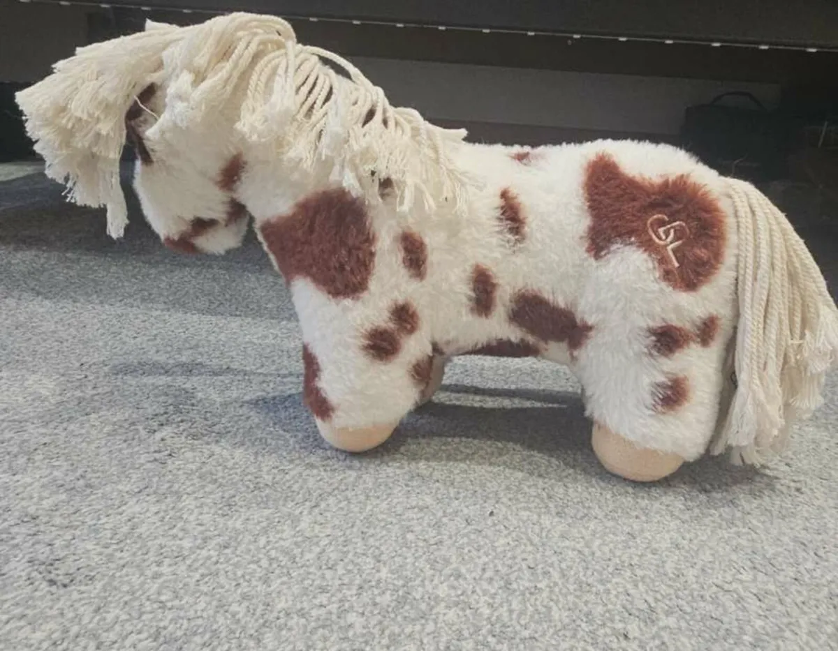 Crafty pony sets - Image 3