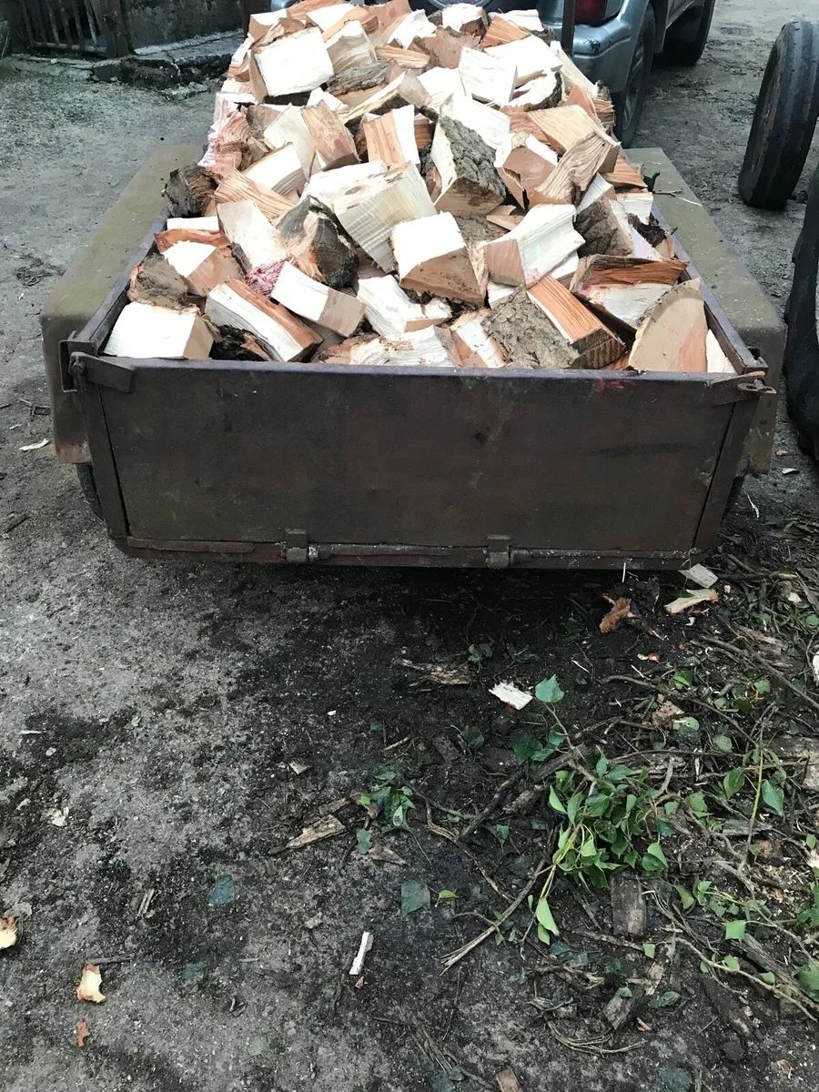 Fire wood - Image 1