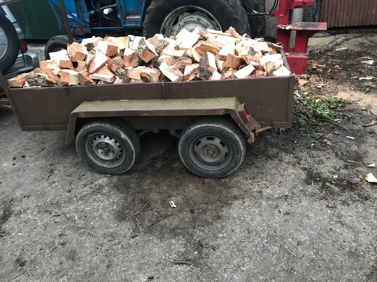 Fire wood - Image 2