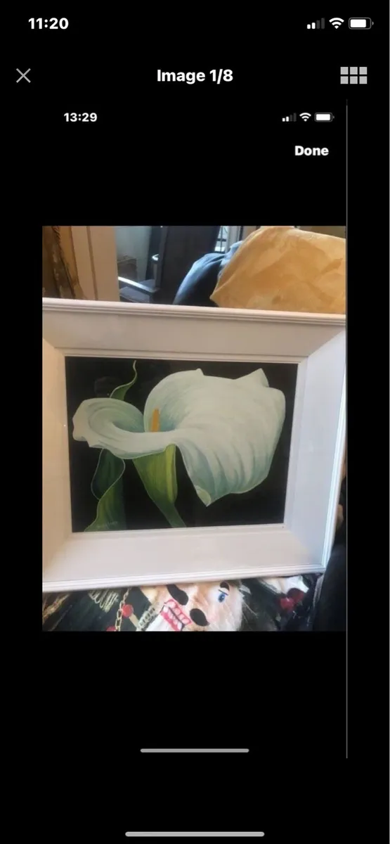 Arum Lily- Nicola Lynch Morrin original - Image 1