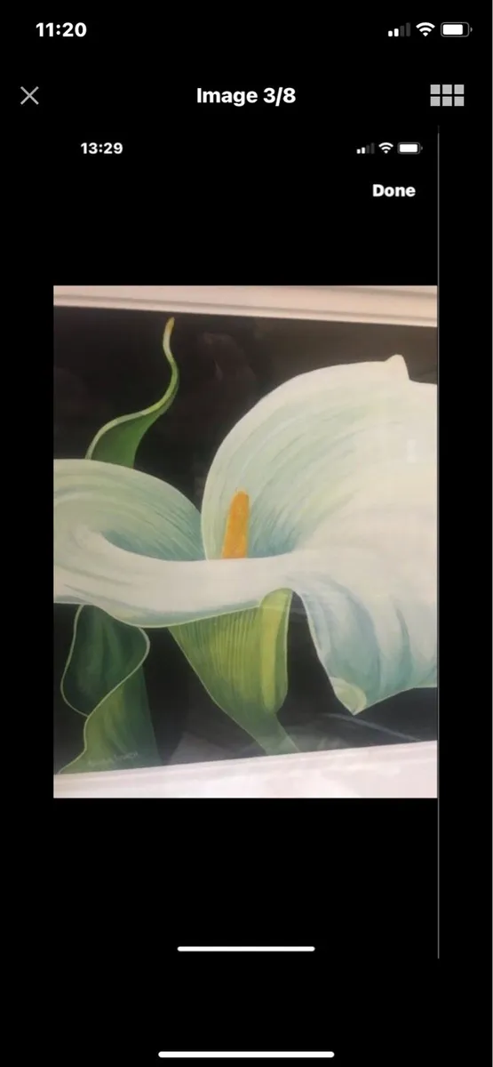 Arum Lily- Nicola Lynch Morrin original - Image 3