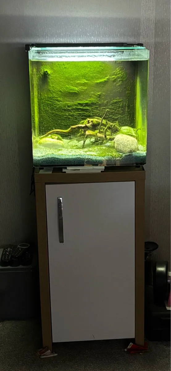 Fish tank