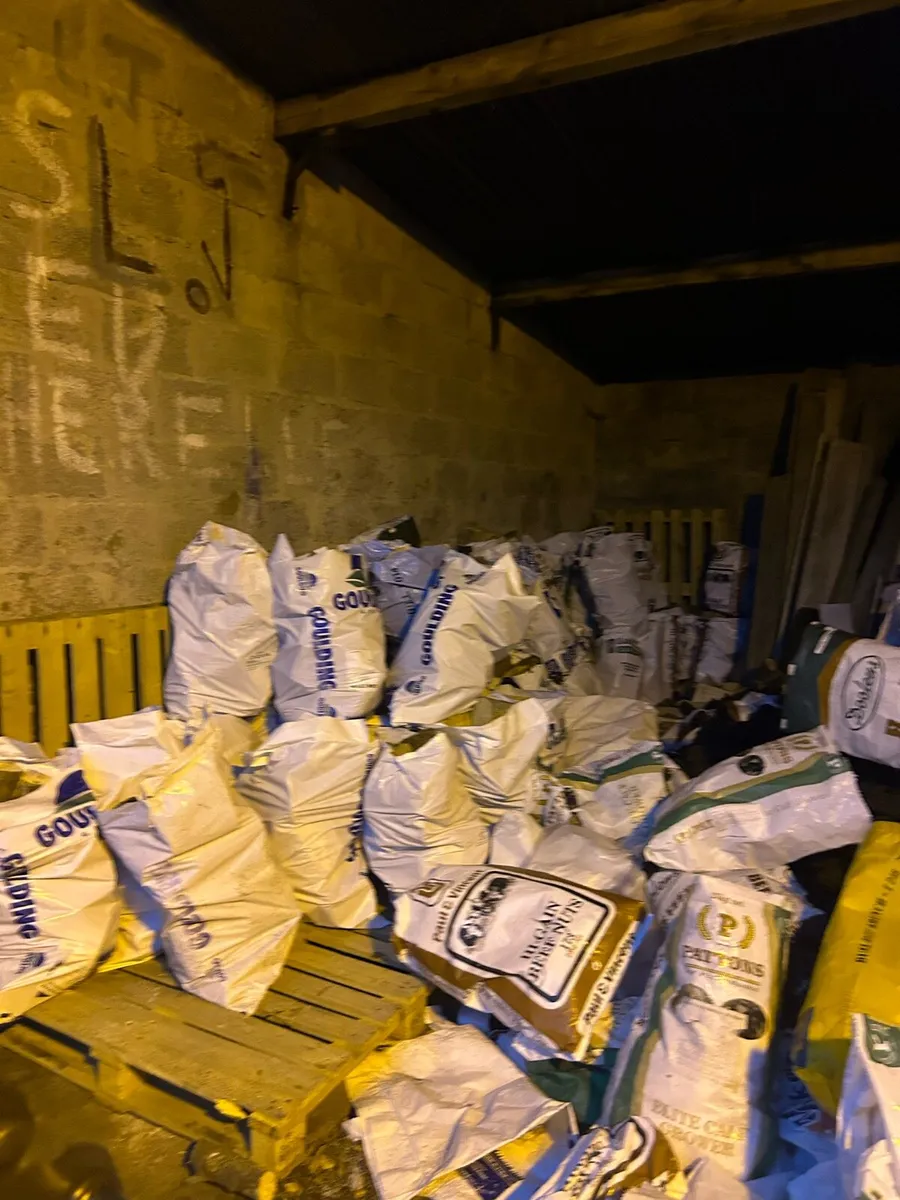 Ash Firewood - Image 3