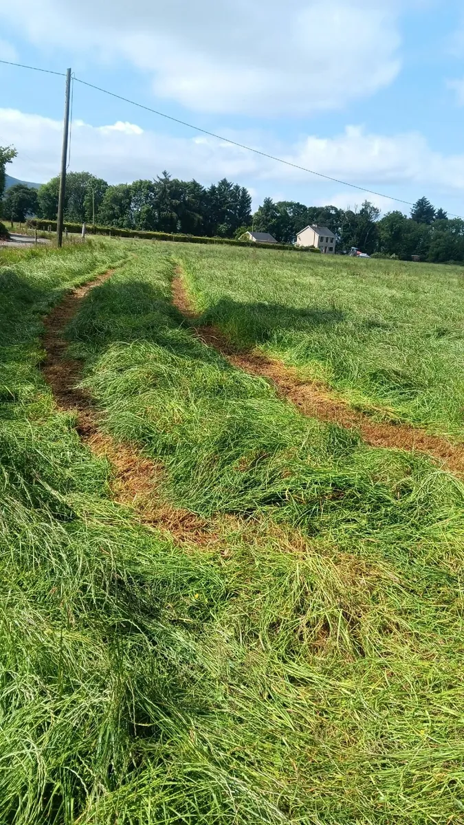 Silage bales for Sale