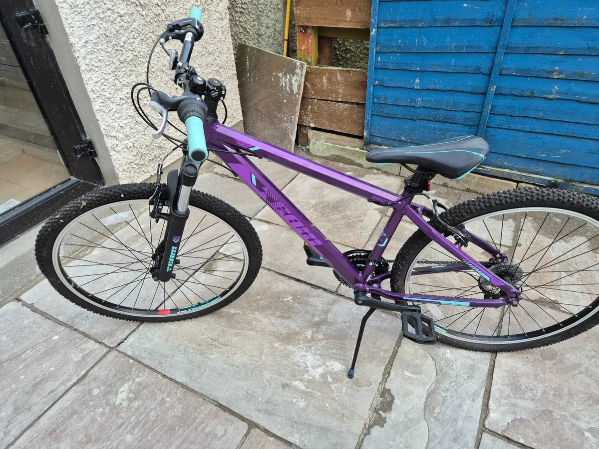 Kids Mountain Bike - Image 1