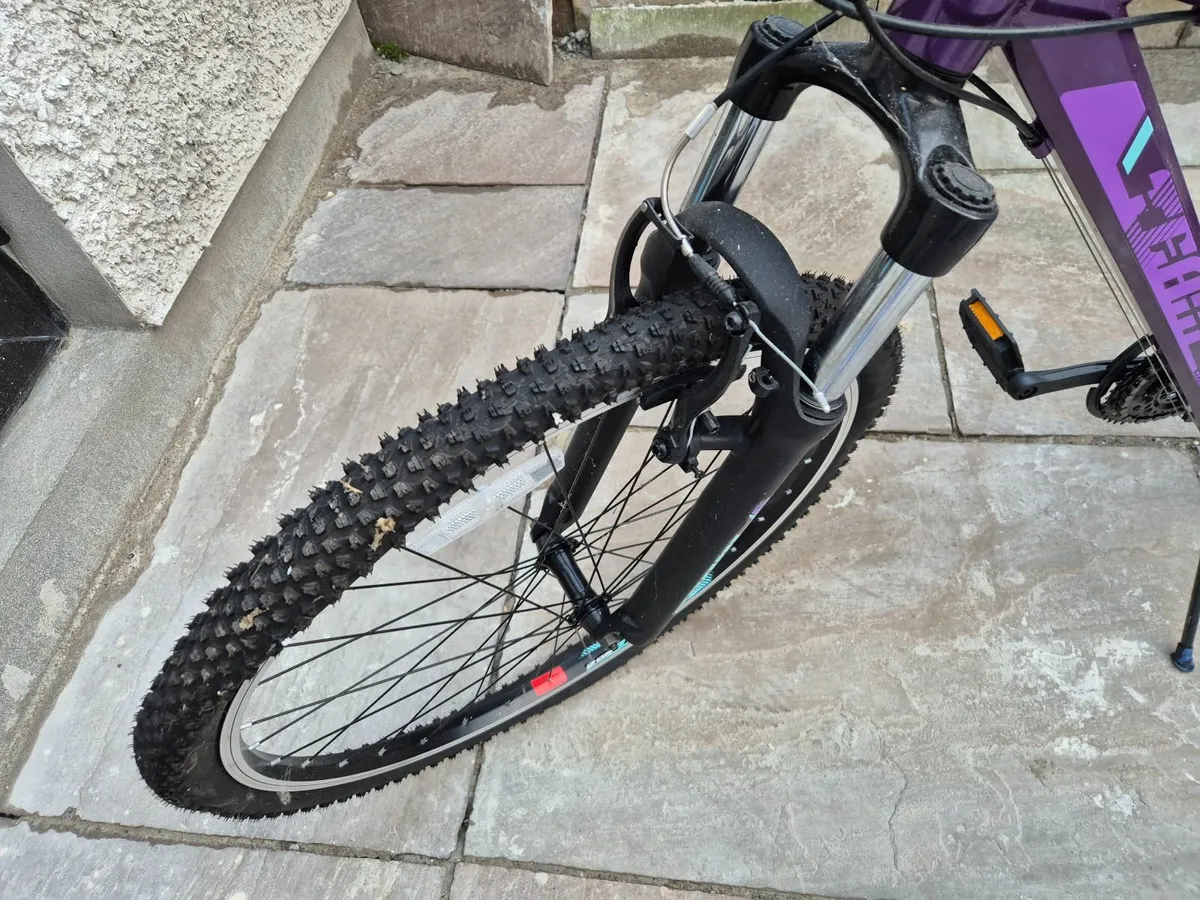 Kids Mountain Bike - Image 3