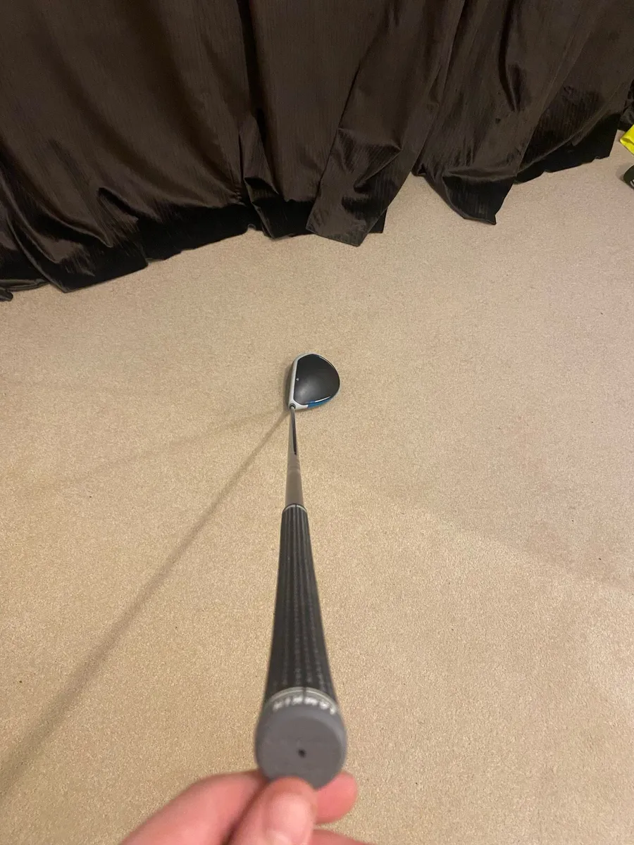 Sim 2 max Driver - Image 1