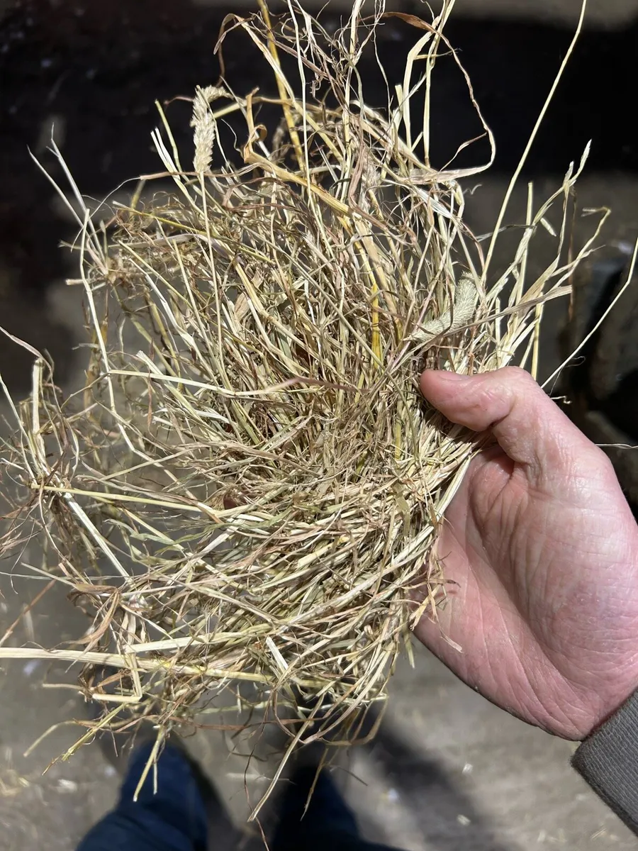 Hay and straw - Image 3