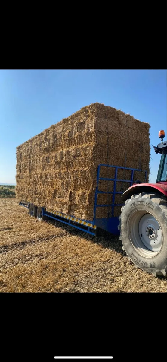Hay and straw - Image 1