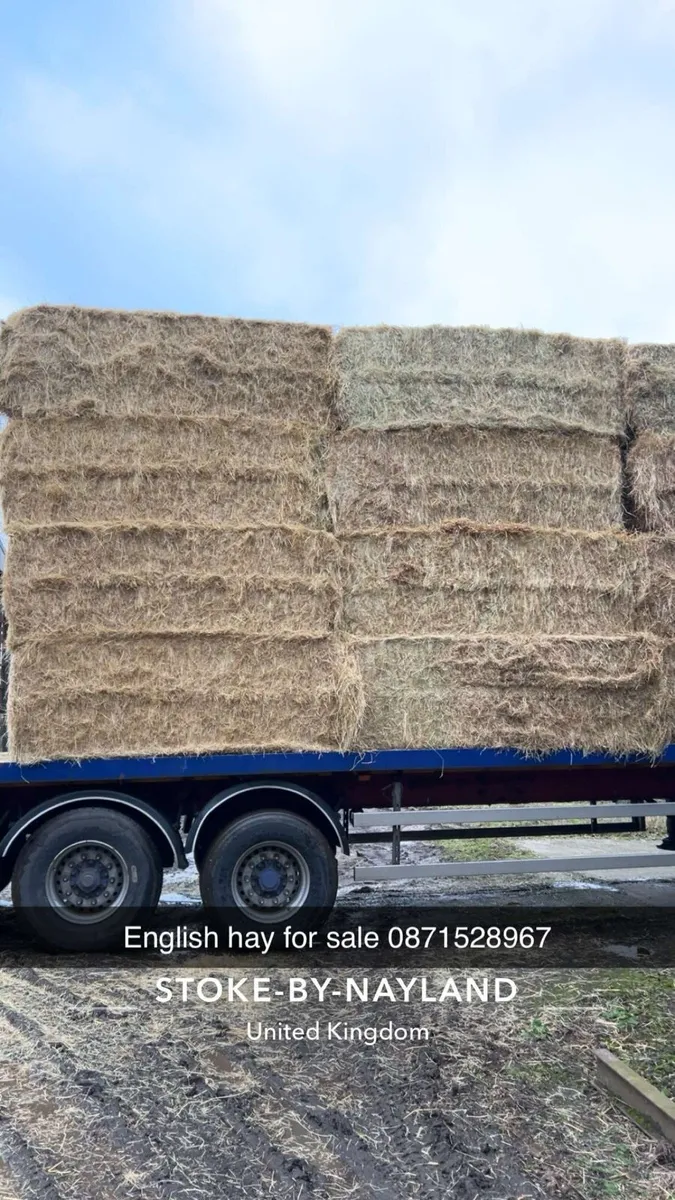 Hay and straw - Image 4