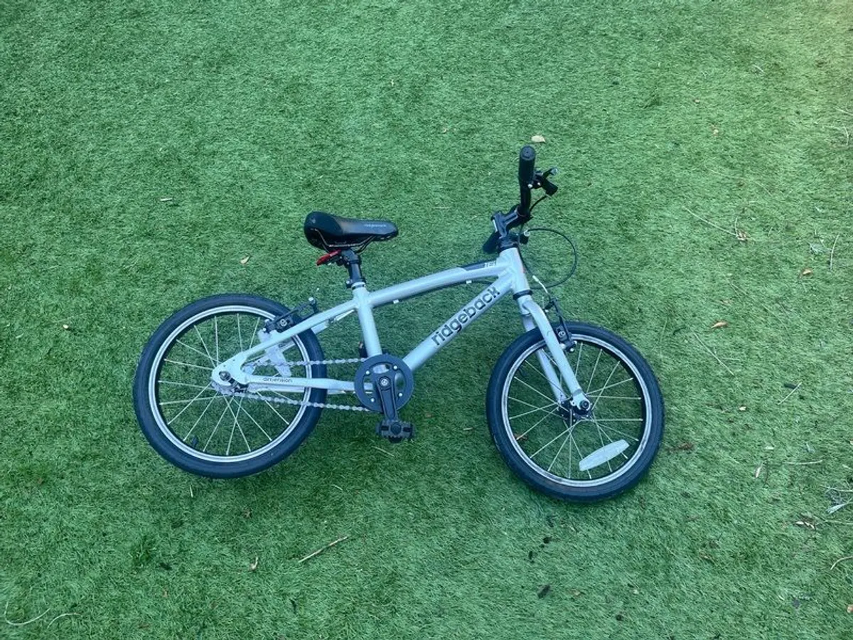 Boys Ridgeback Bike - 15 inch wheels