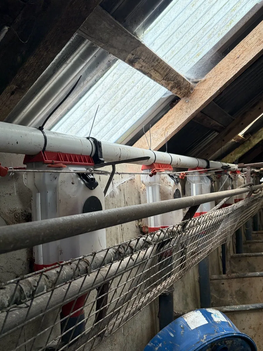 Batch feeders, Milk Tank and Machine - Image 3