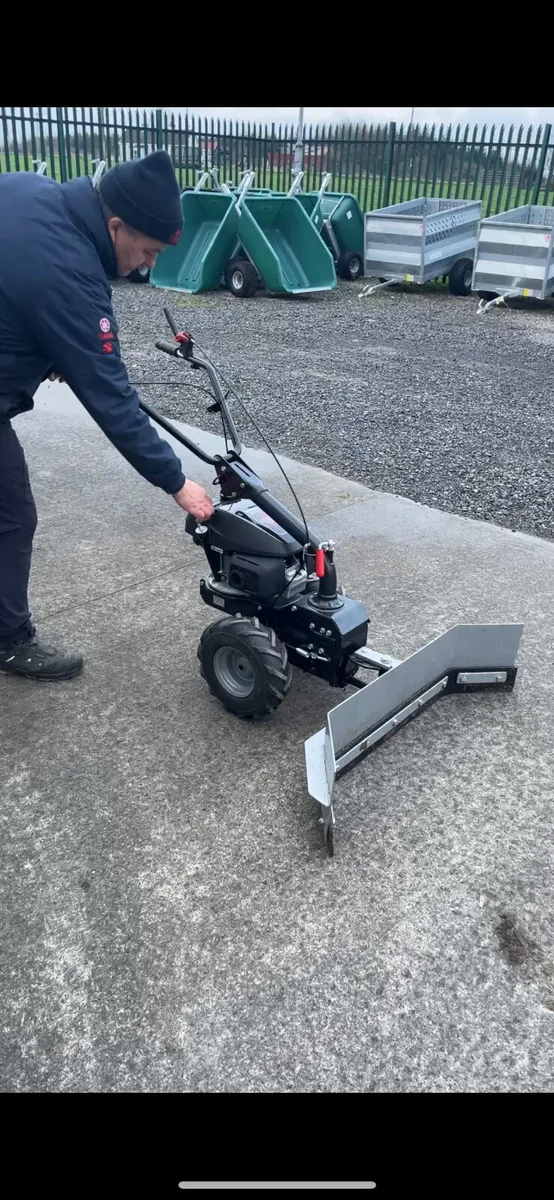 PERFECT CHRISTMAS GIFT 🎄 - Image 1