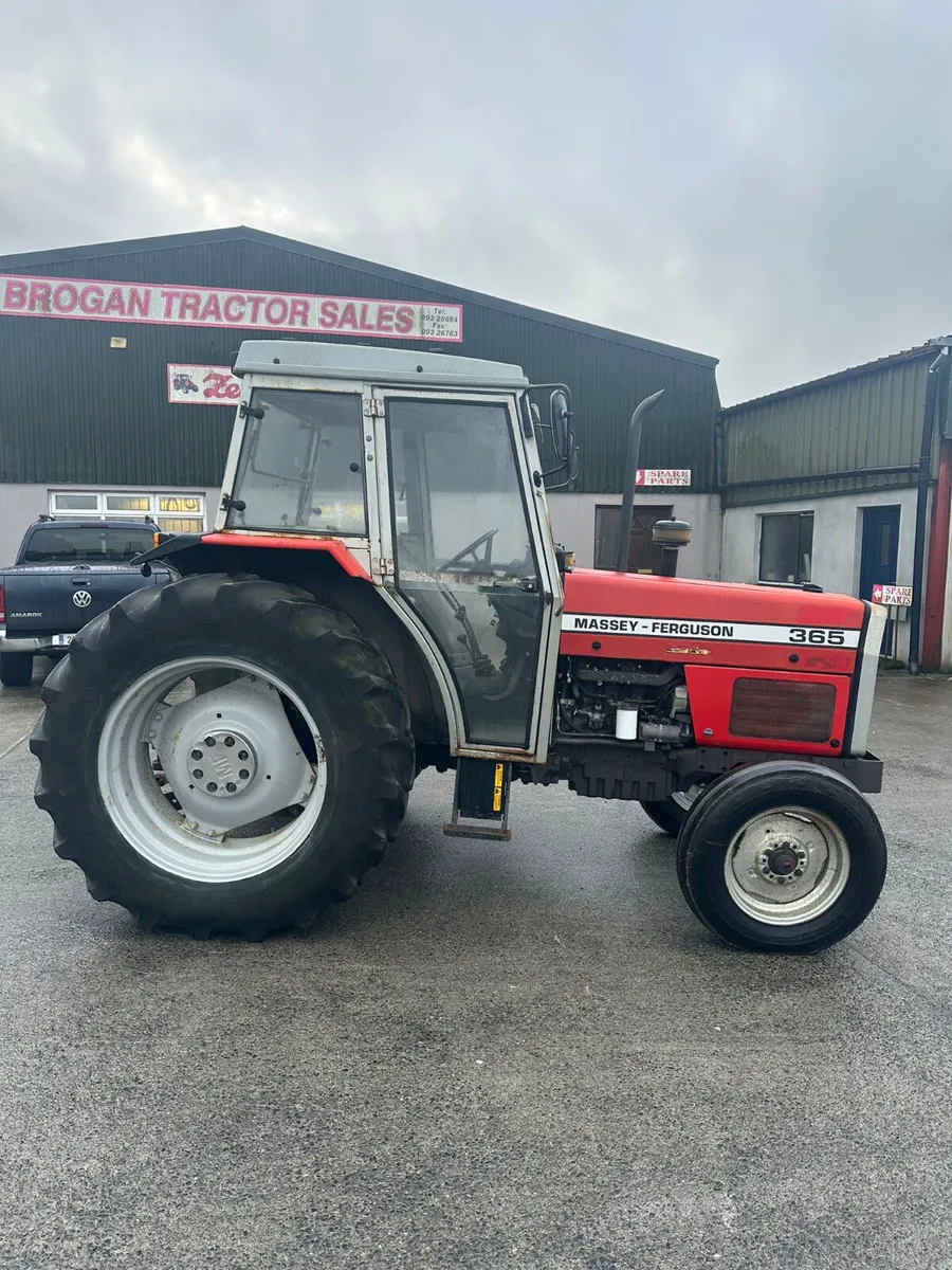 Massey Ferguson 365 - Image 1