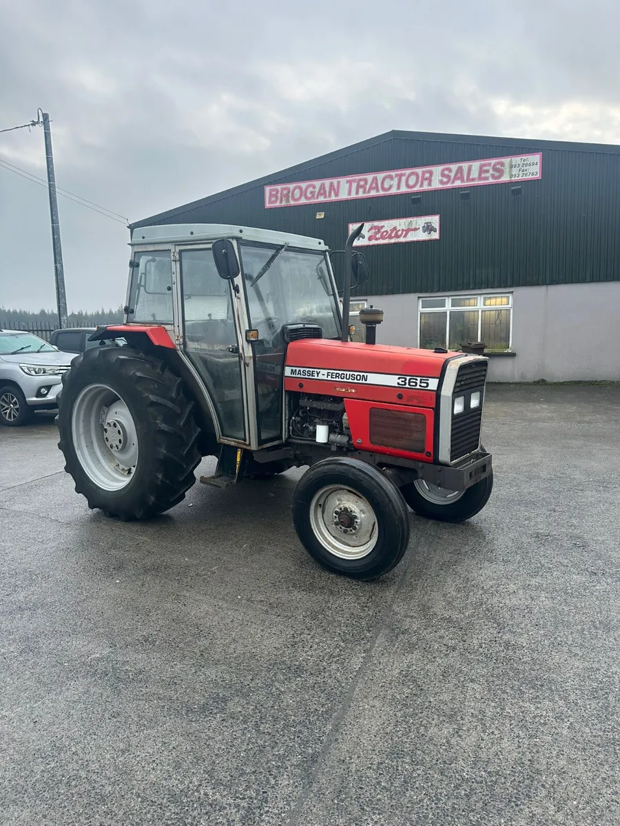 Massey Ferguson 365 - Image 2