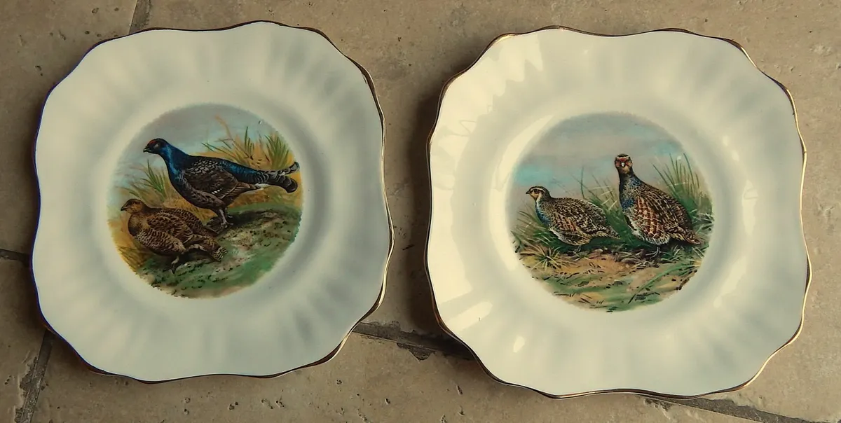 Pair of Vintage Arklow Pottery Bone China Plates - Image 1