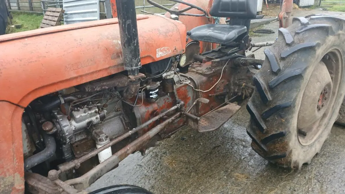 Massey 35 1961 with 135 engine - Image 2