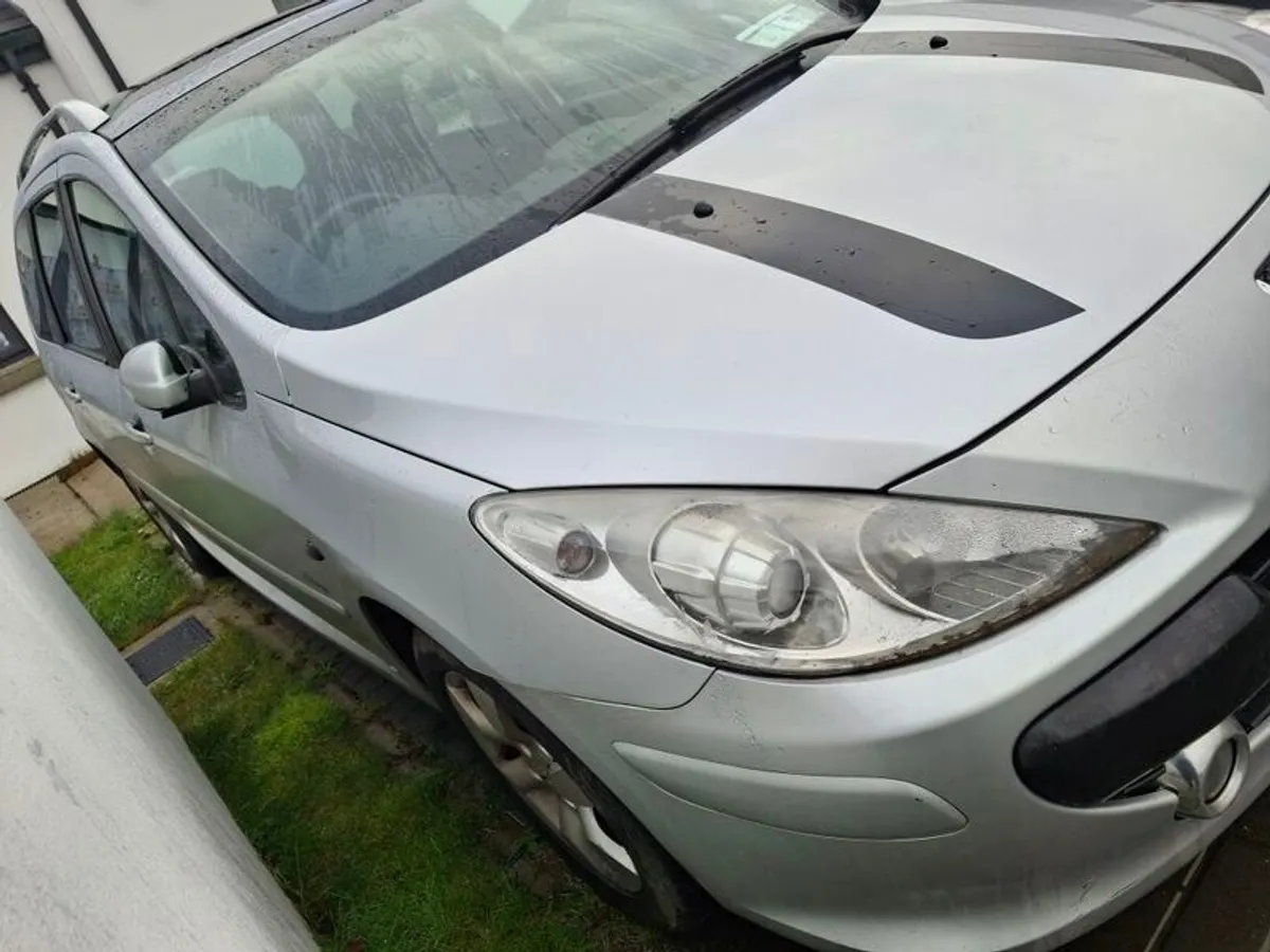 2009 Peugeot 307 - Image 3