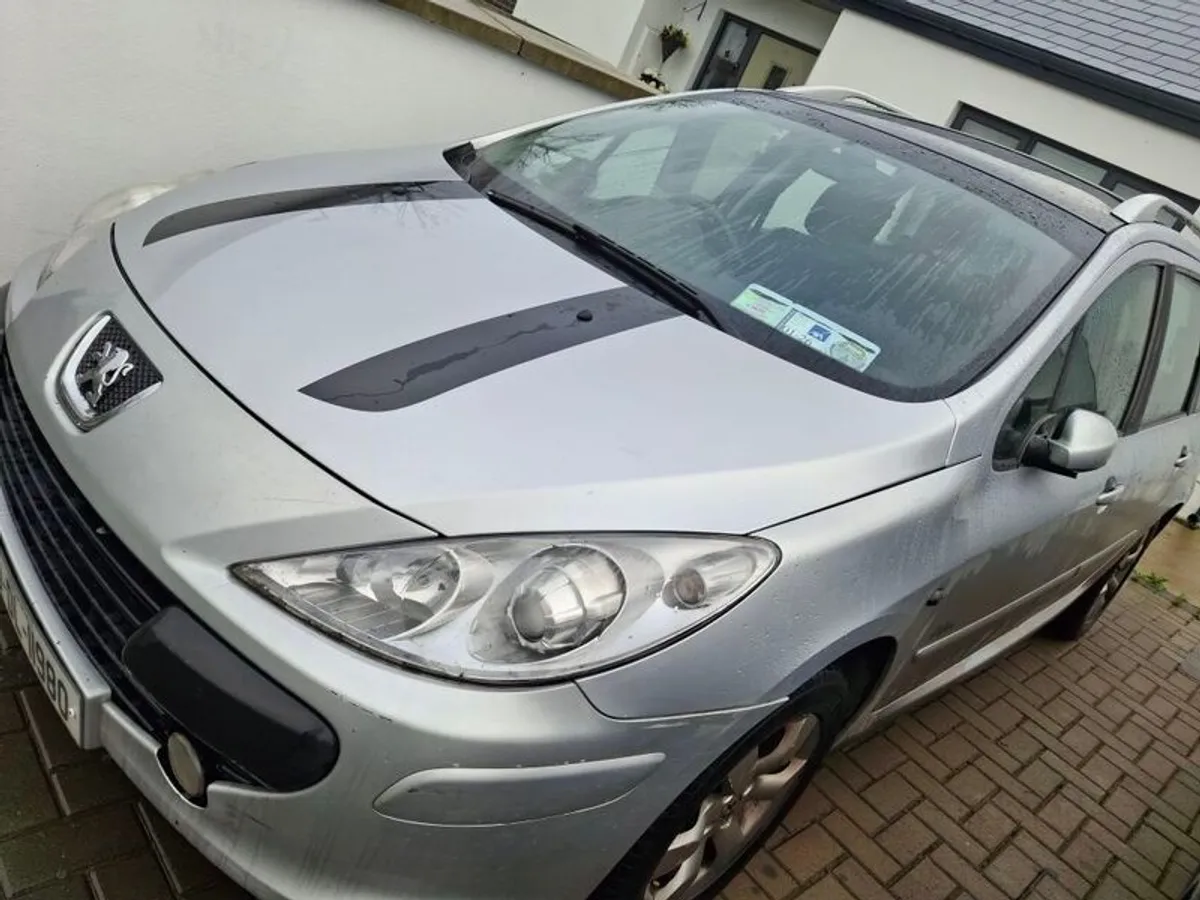 2009 Peugeot 307 - Image 4