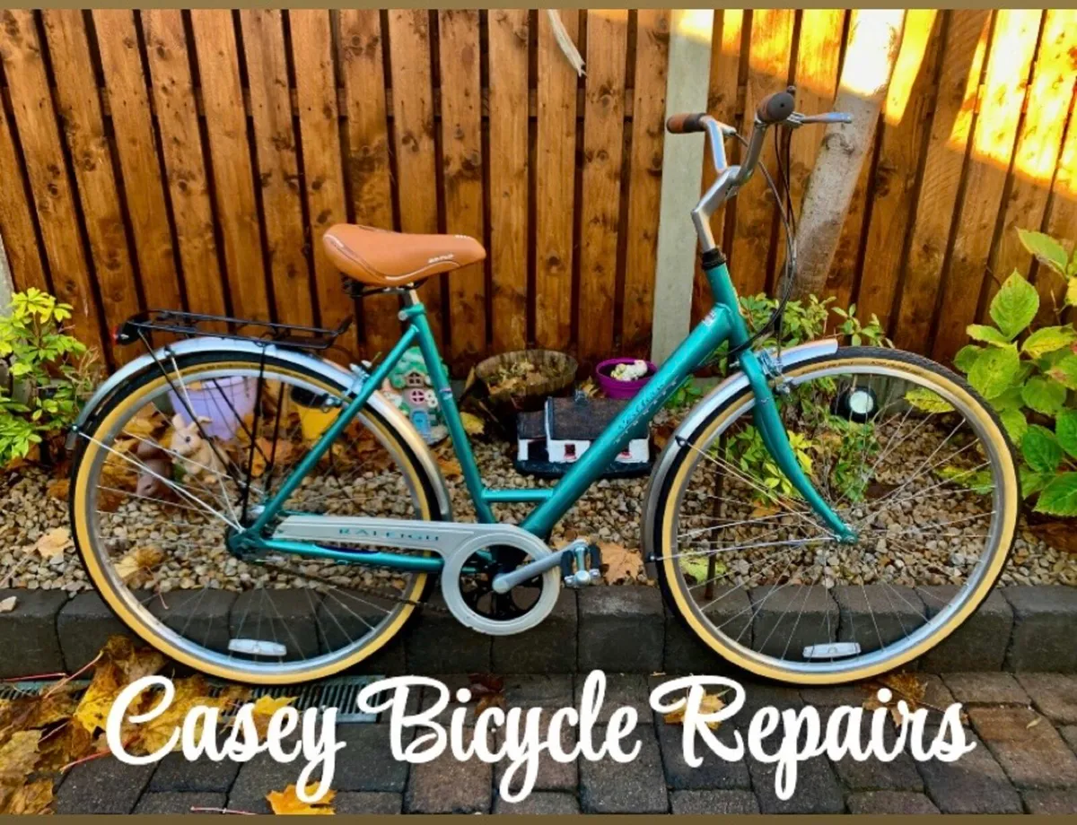 Raleigh Pioneer Excellent Condition - Image 1