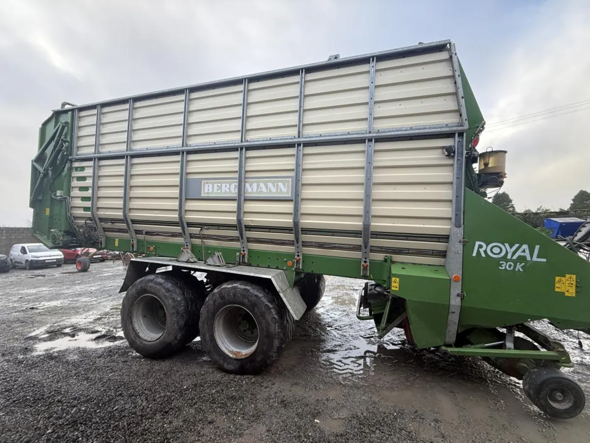 2008 Bergmann Royal 30k **Online Auction** - Image 3