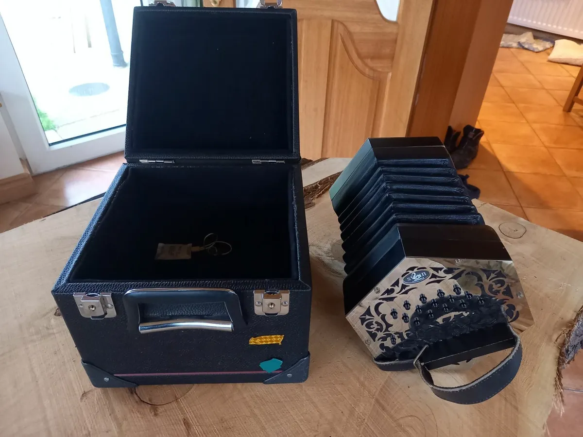 Swan Concertina - Image 2