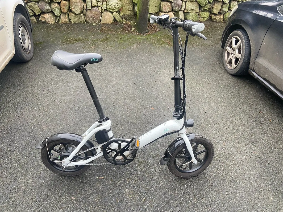 Fiido Electric Bike - Image 1