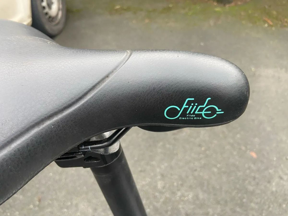 Fiido Electric Bike - Image 4