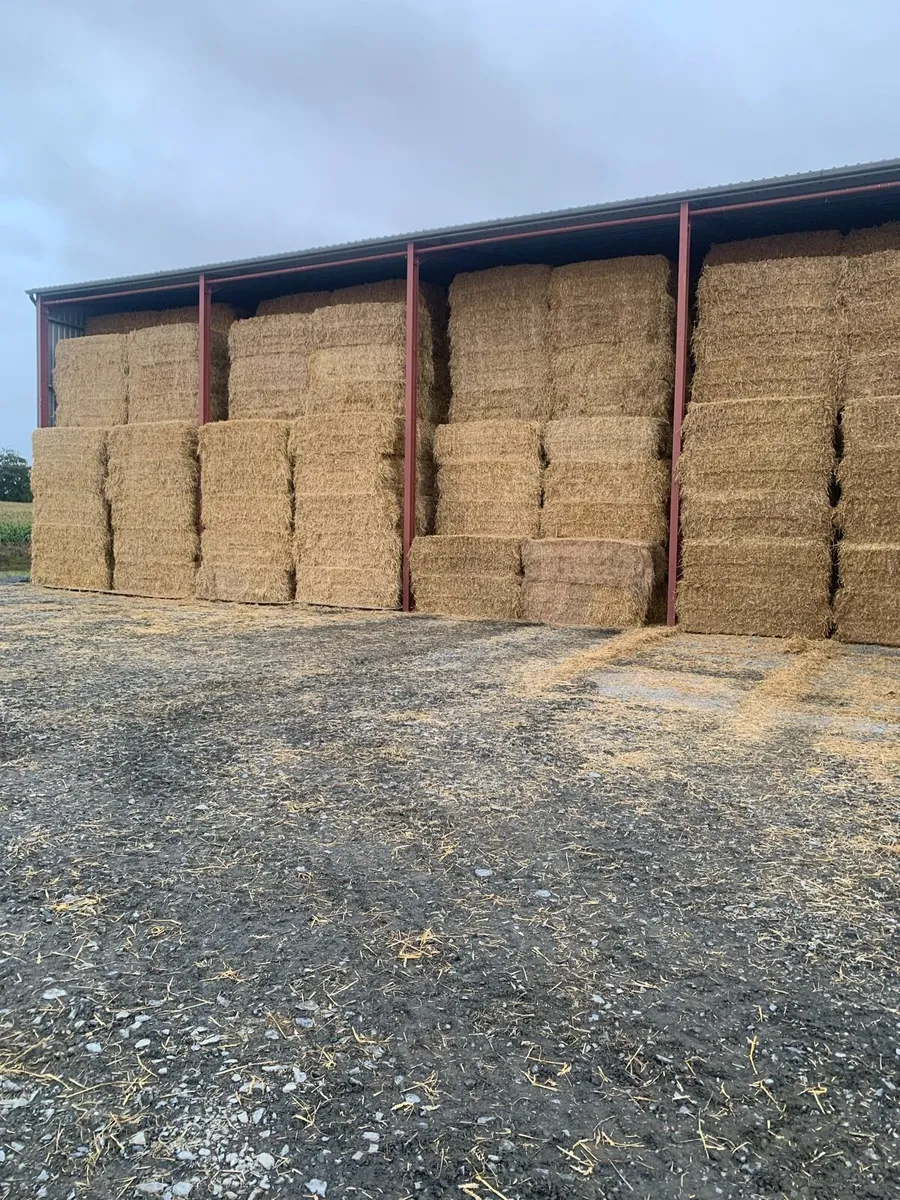 Barley/oat/wheat/osr - Straw 8x4x3 - Image 3