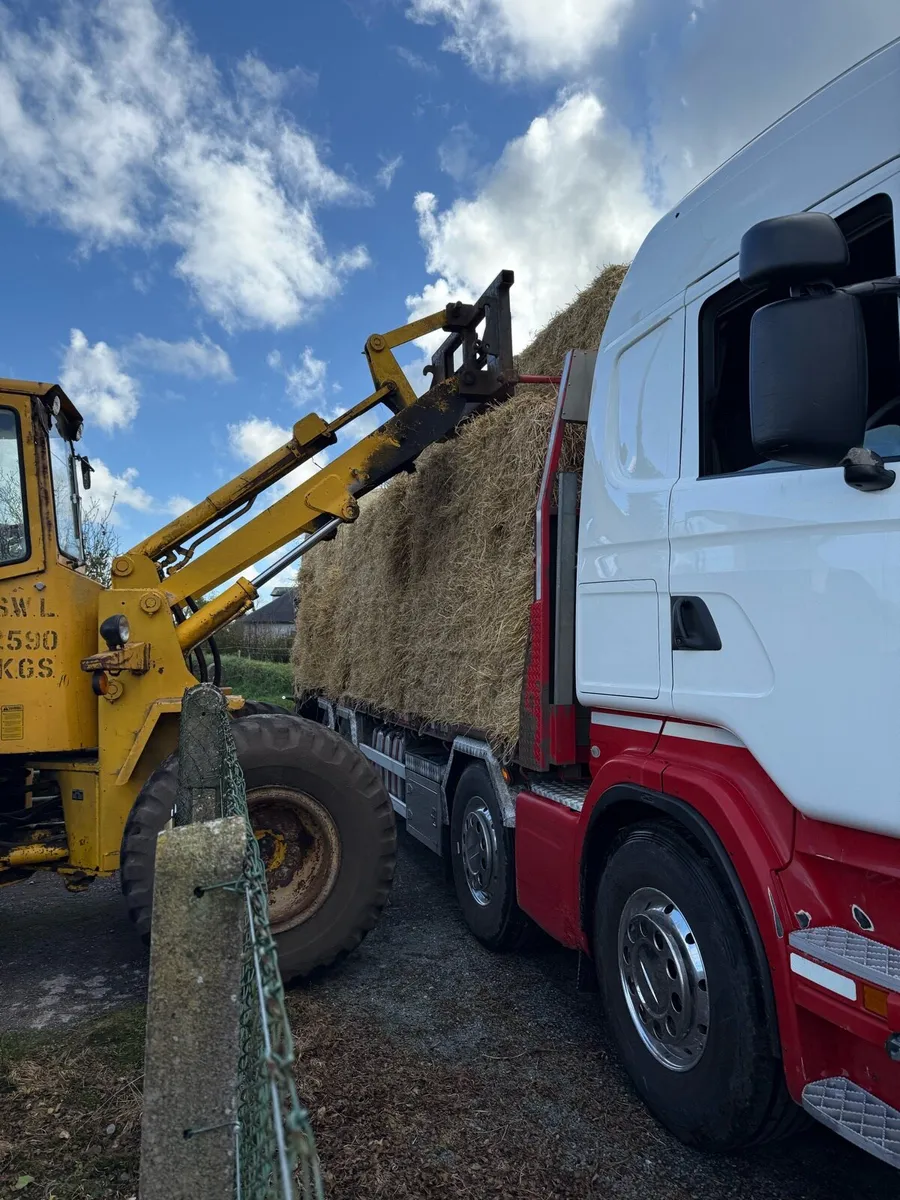 Barley & wheaten straw delivered 8x4x3 - Image 2