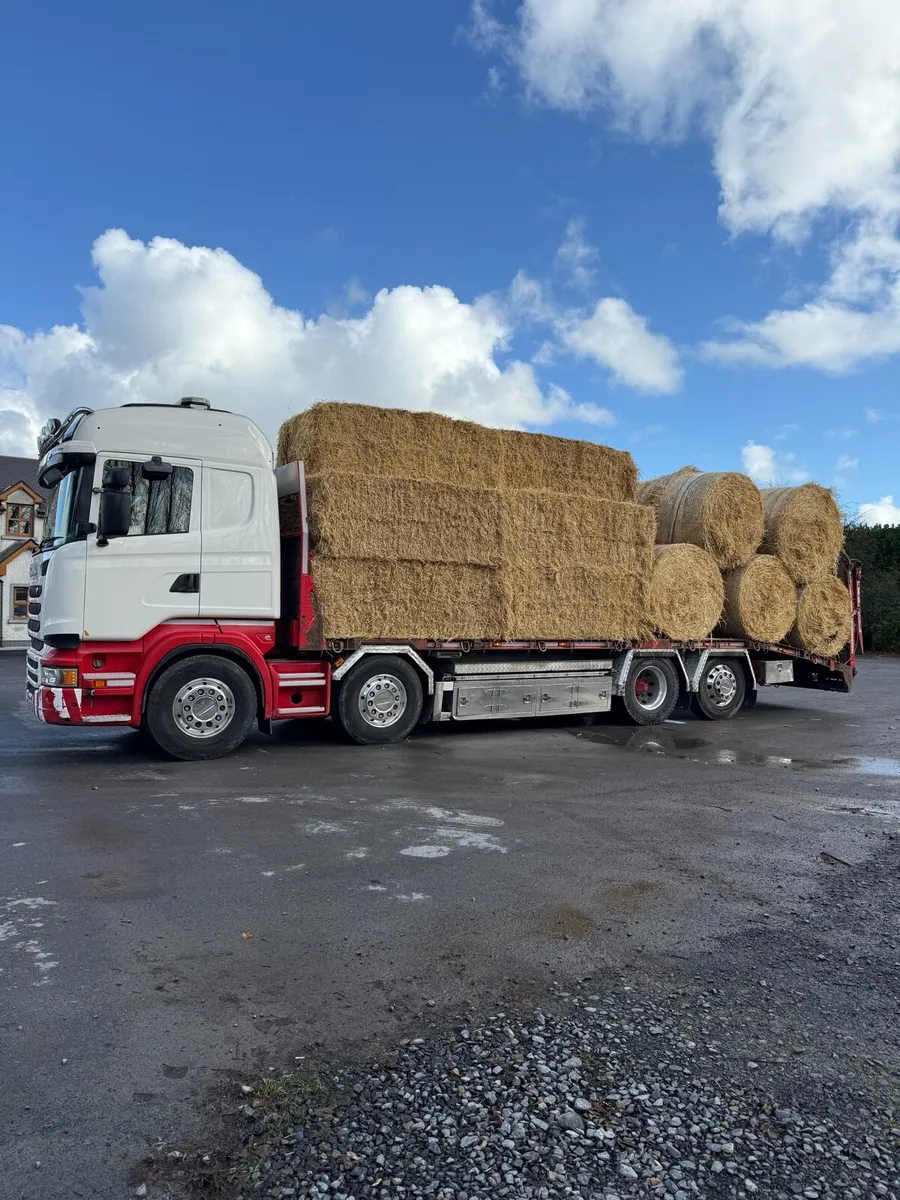 Barley & wheaten straw delivered 8x4x3 - Image 4