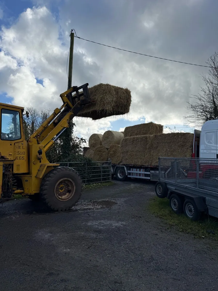 Barley & wheaten straw delivered 8x4x3 - Image 3