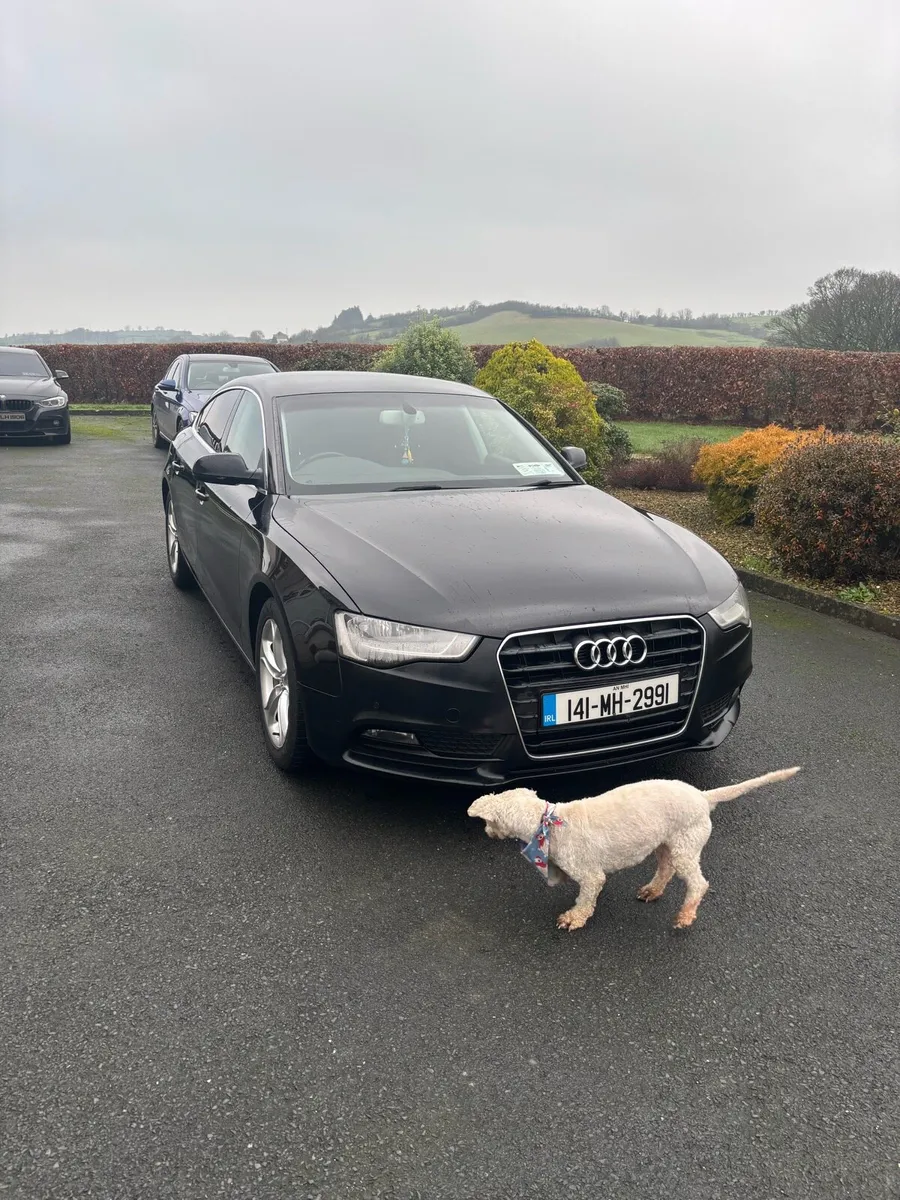 2014  audi A5 SE - Image 1