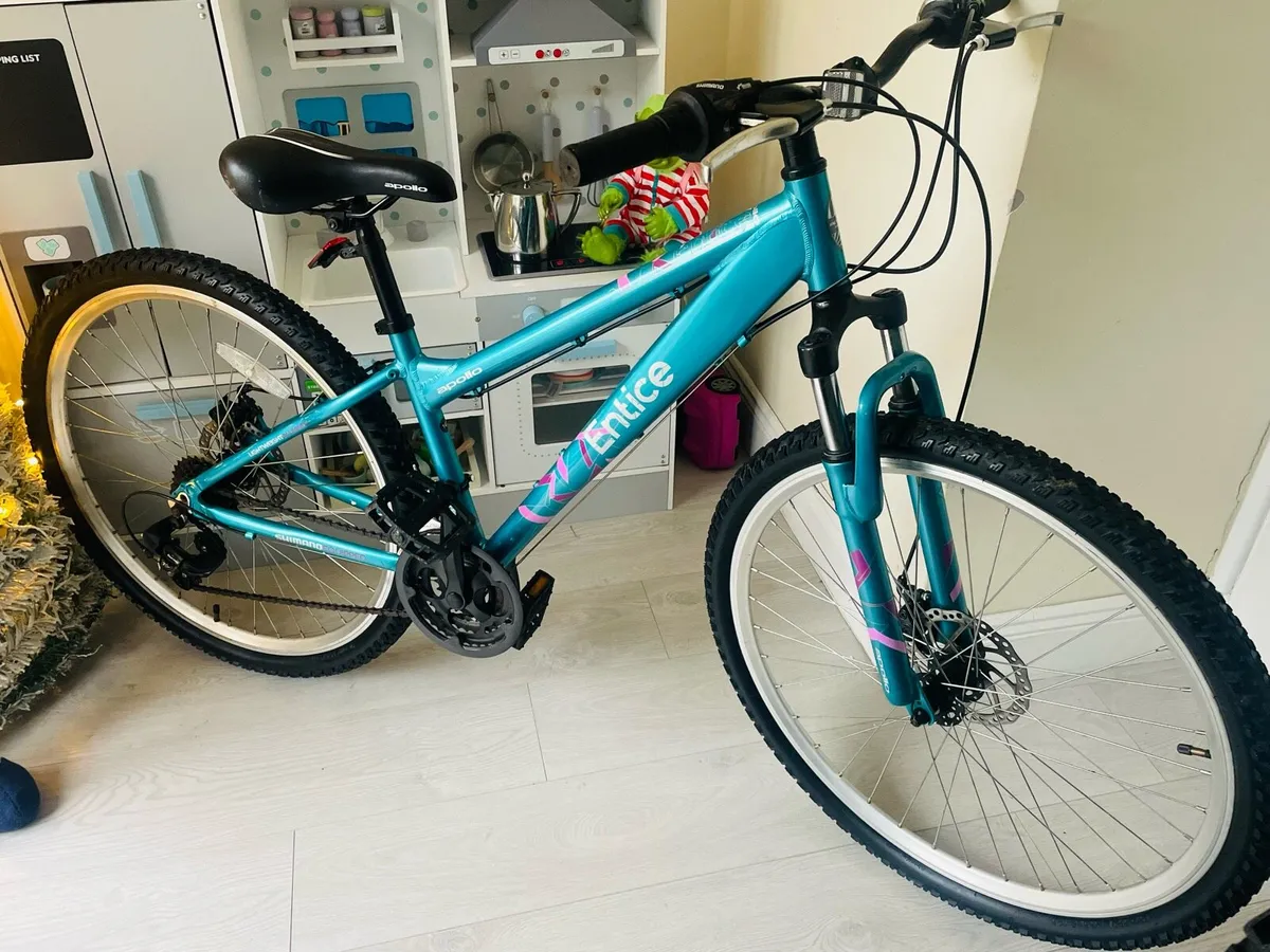 Ladies mountain bike - Image 1