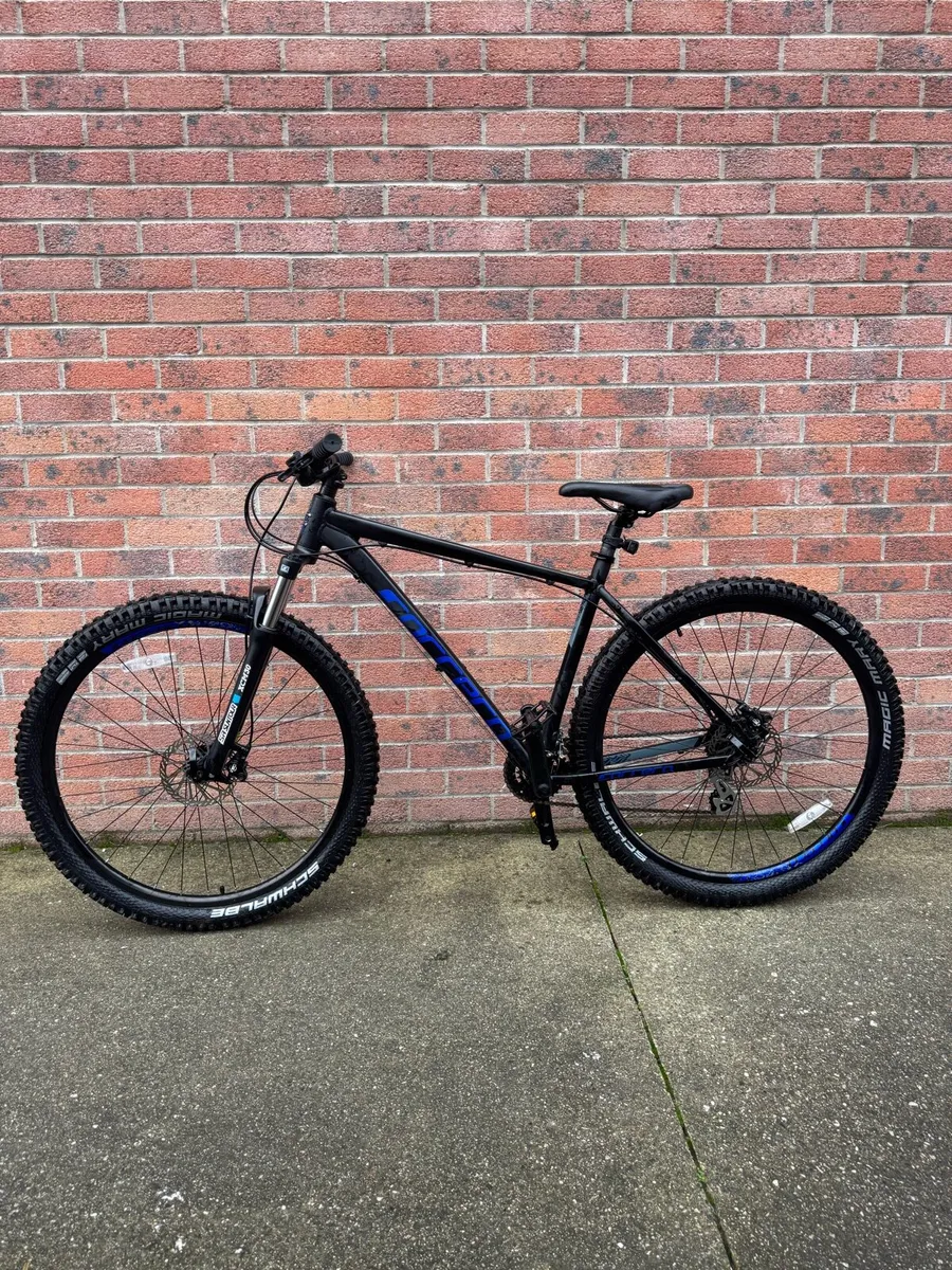 Carrera Hellcat 29" MTB - Teen/Adult - Image 1