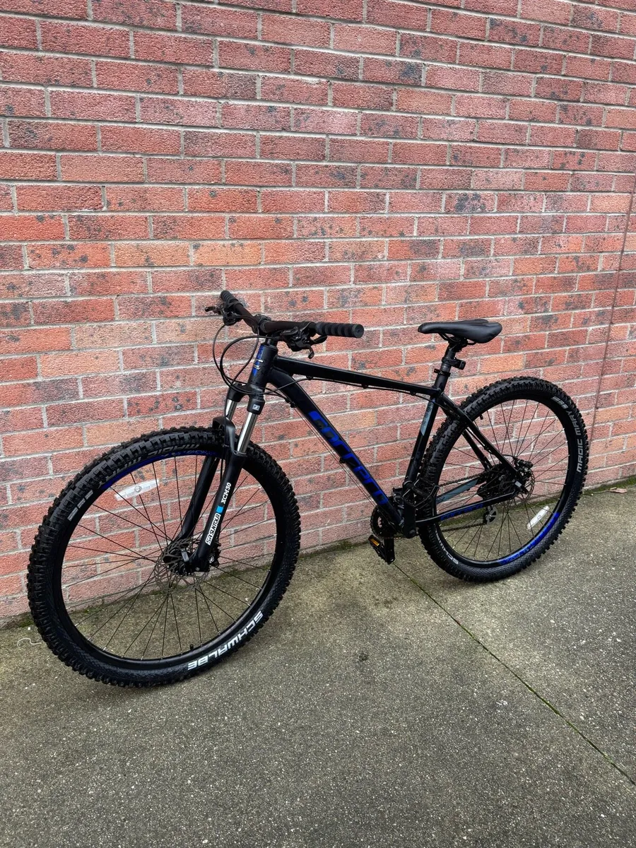 Carrera Hellcat 29" MTB - Teen/Adult - Image 2