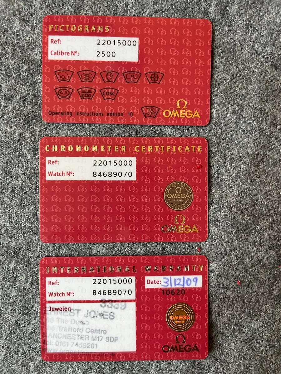 Omega Planet Ocean 42 Watch - Image 4