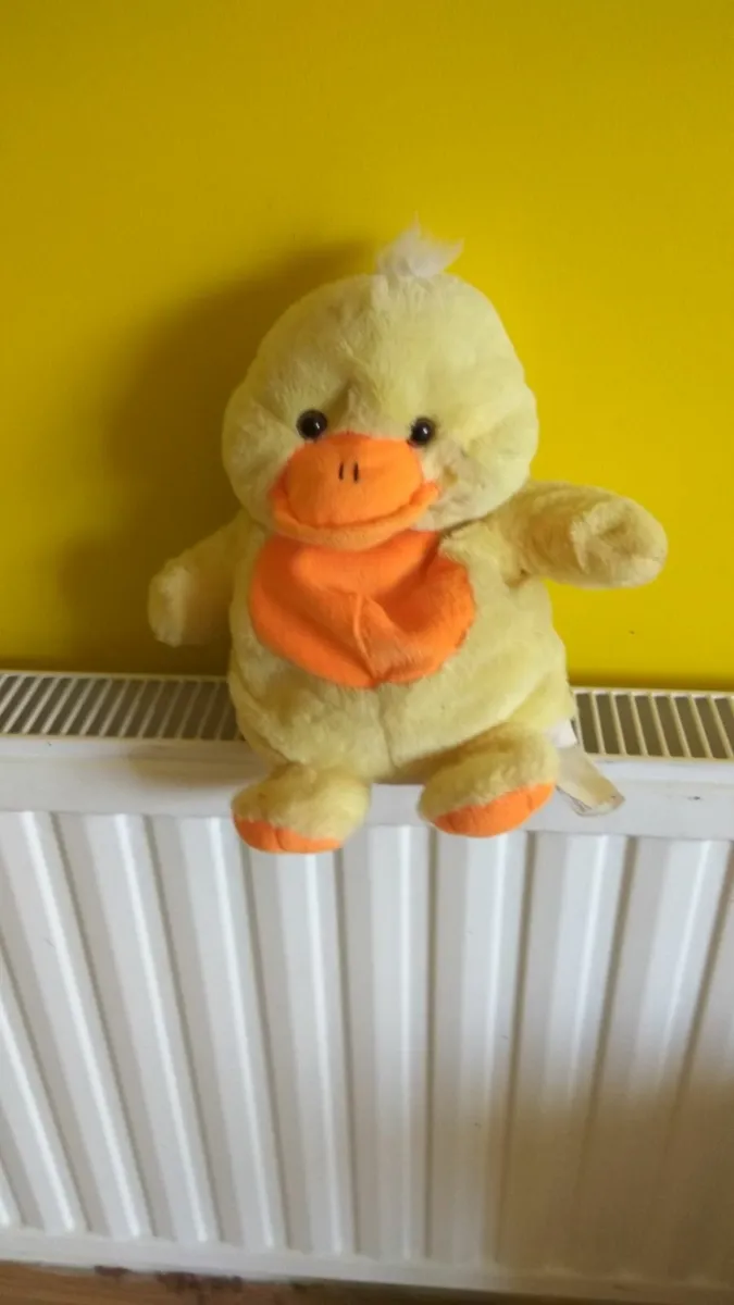 duck with sound makes qua qua when u push her bell - Image 1